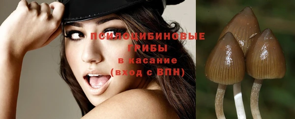 крисы Арсеньев