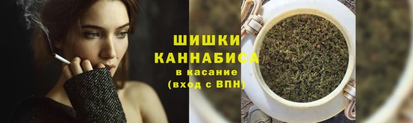 крисы Арсеньев