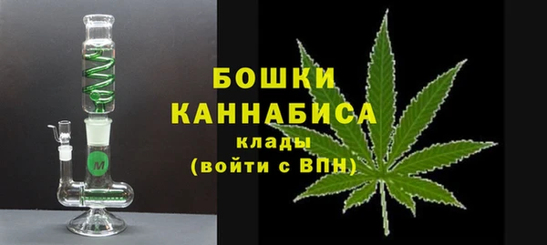 крисы Арсеньев