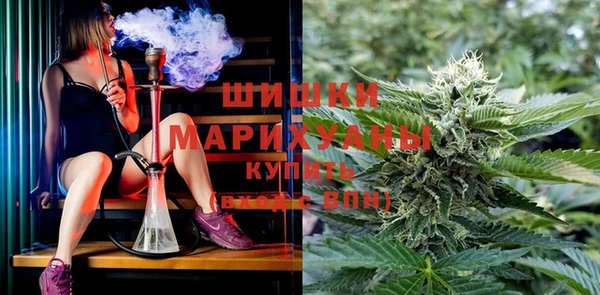 трава Аркадак