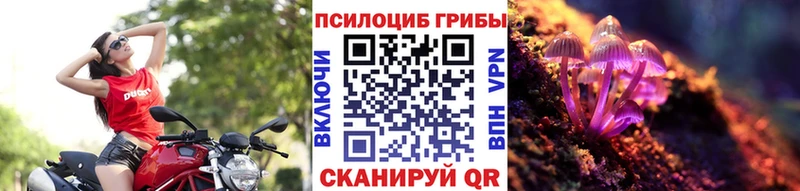 цены наркотик  Сосновка  Псилоцибиновые грибы Cubensis 